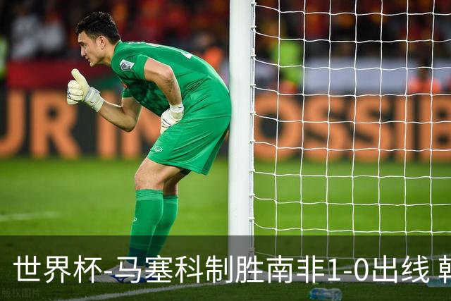 世界杯-马塞科制胜南非1-0出线 韩国积3分获小组第三待定